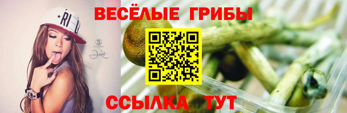 Кузнецк  Галлюциногенные грибы Cubensis  Галлюциногенные грибы прущие грибы  Вход с VPN 