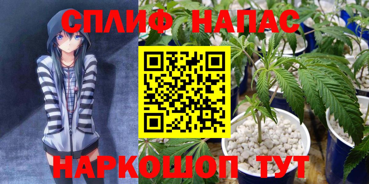 Марихуана марихуана Кузнецк